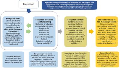 Reviewing the Ecosystem Services, Societal Goods, and Benefits of Marine Protected Areas